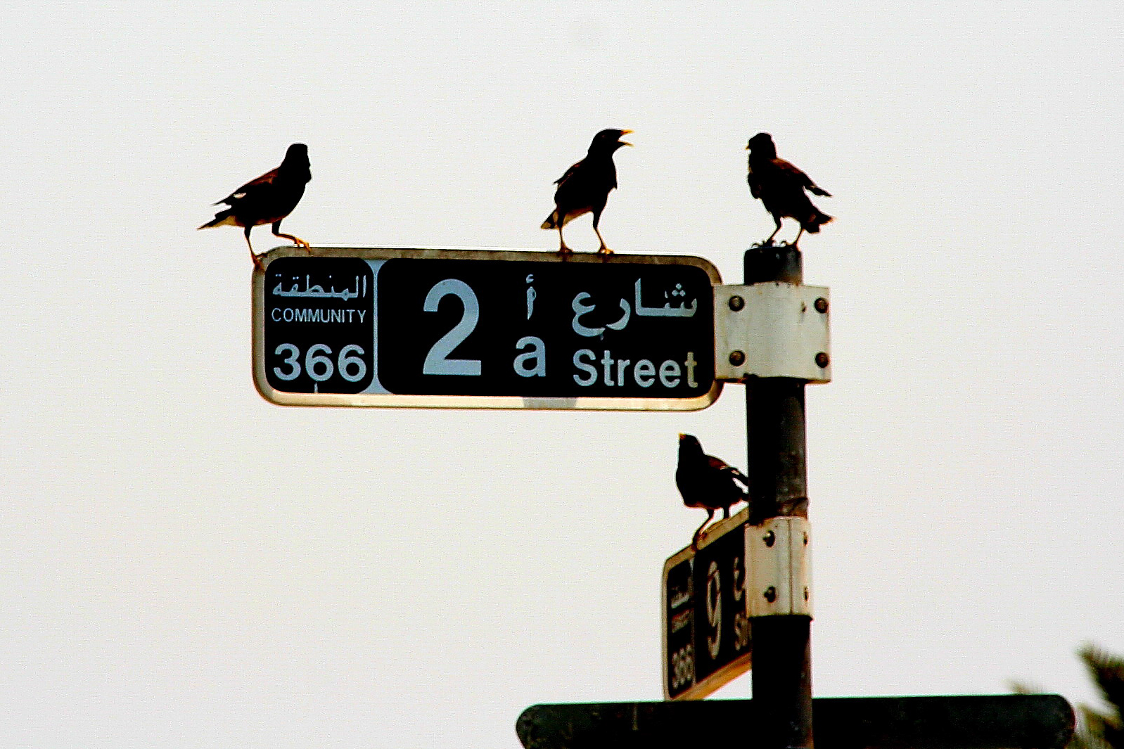 2007_Dubai